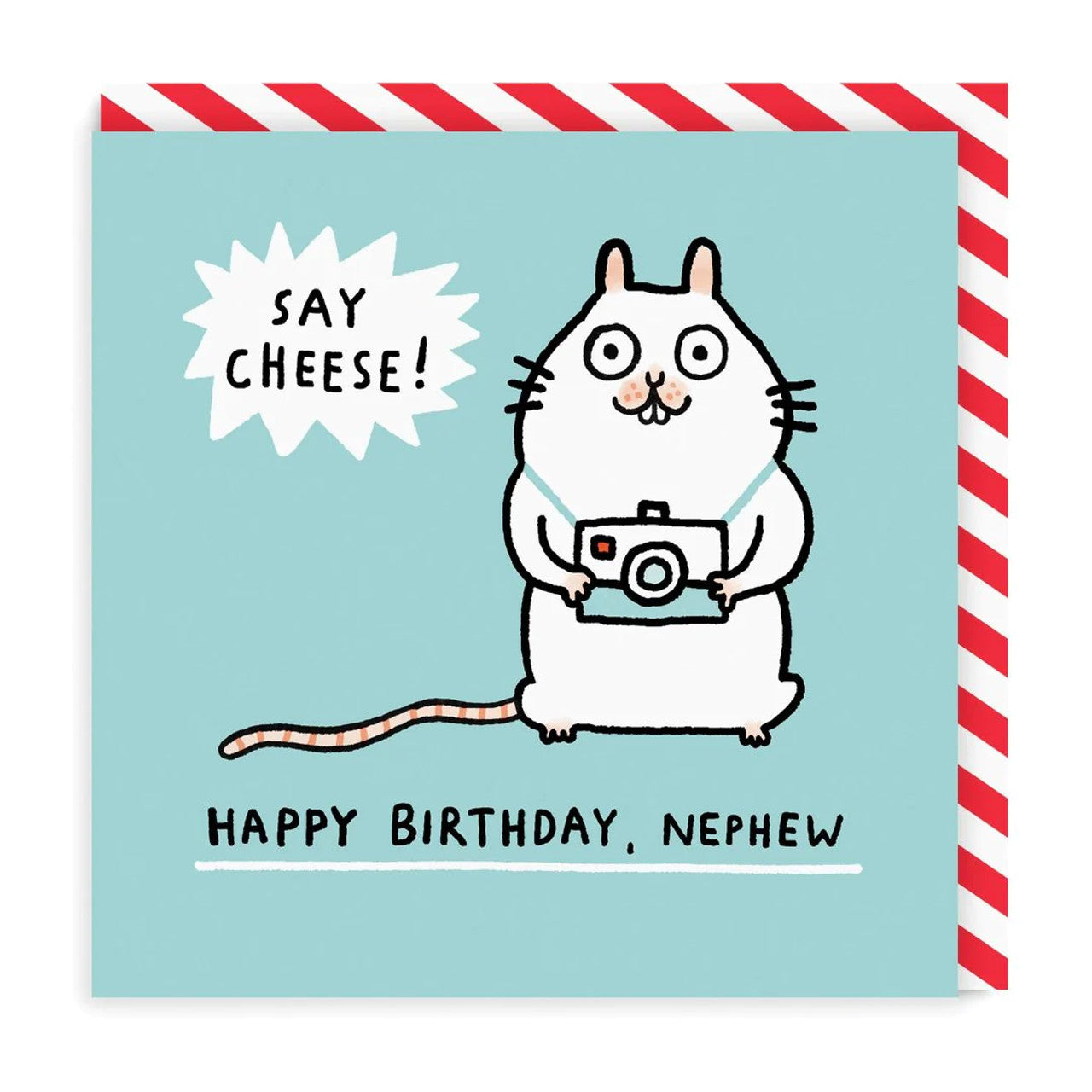 Nephew Birthday Card text reads "Say Cheese! Happy Birthday, Nephew"